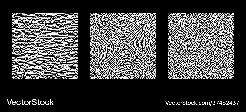 Collection turing abstract seamless pattern Collection turing abstract seamless pattern vector image