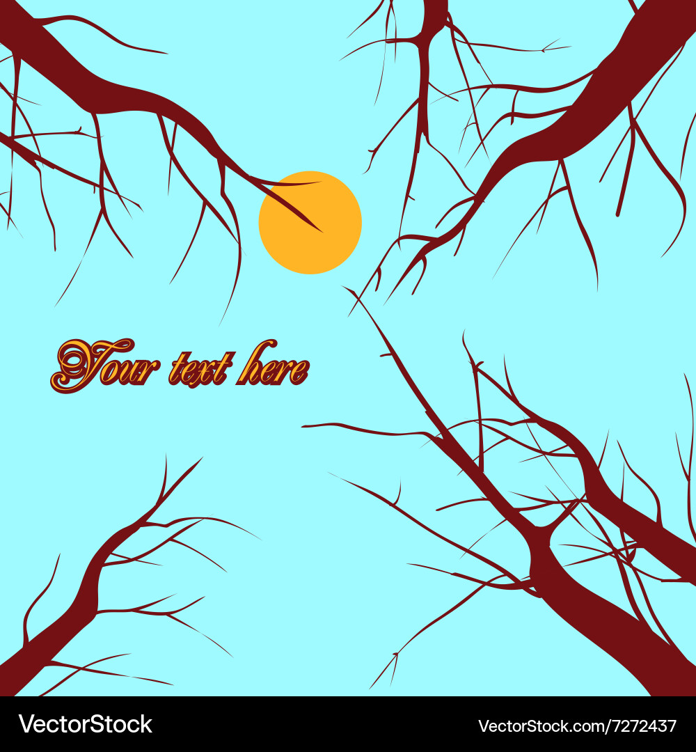 Tree branches Vector Image