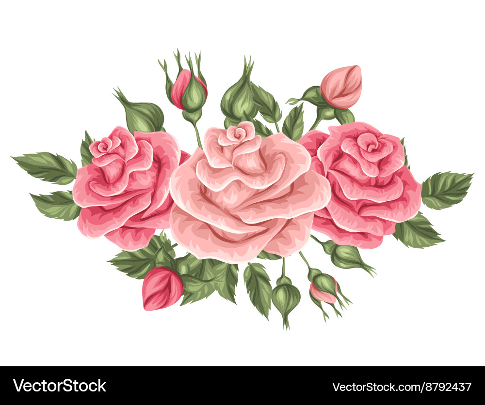 Vintage Roses Floral Element Vector Image