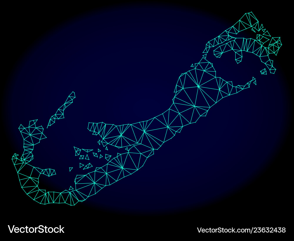 Polygonal network mesh abstract map Polygonal network mesh abstract map Vector Image