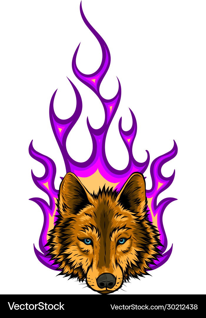 Wolf auf Feuer für Tattoo Design Wolf auf Feuer für Tattoo Design Vektorbild