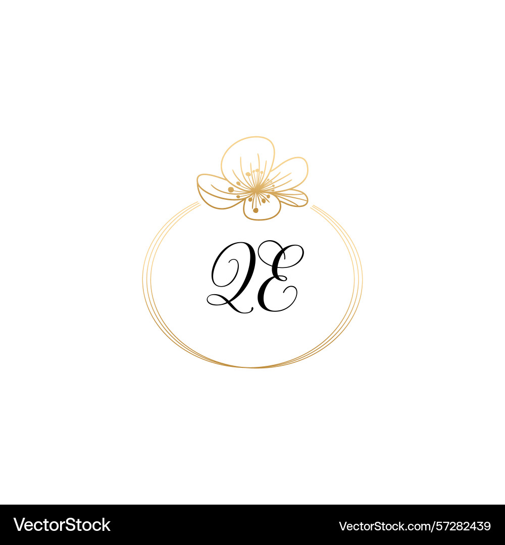 Botanical monogram logos with initial qe Vector Image