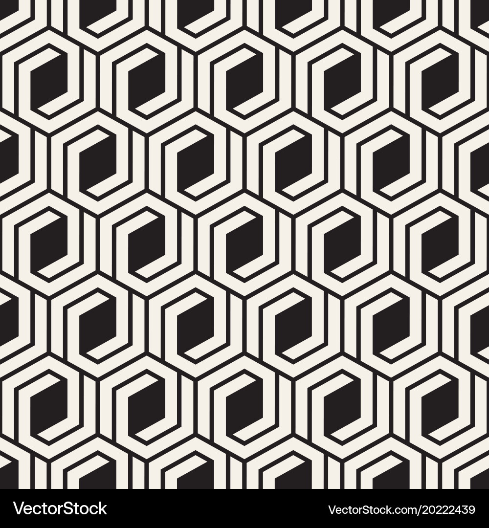 Modern Geometric Lattice Pattern vector image