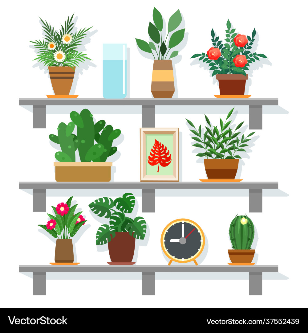 Office Green Plants Vector Image