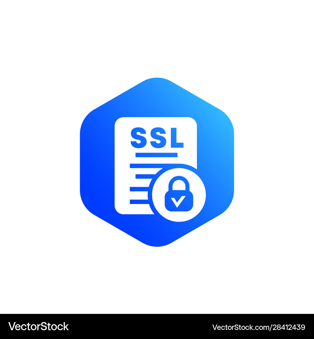 Ssl icon for web vector image