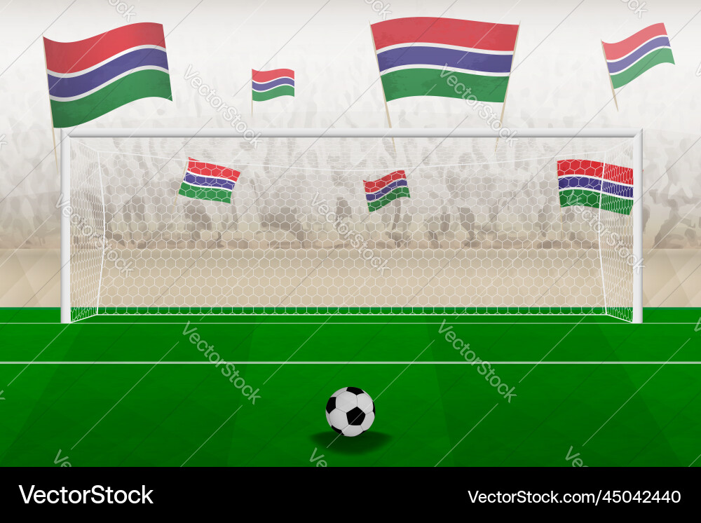 Gambia football team fans with flags of Gambia football team fans with flags of vector image