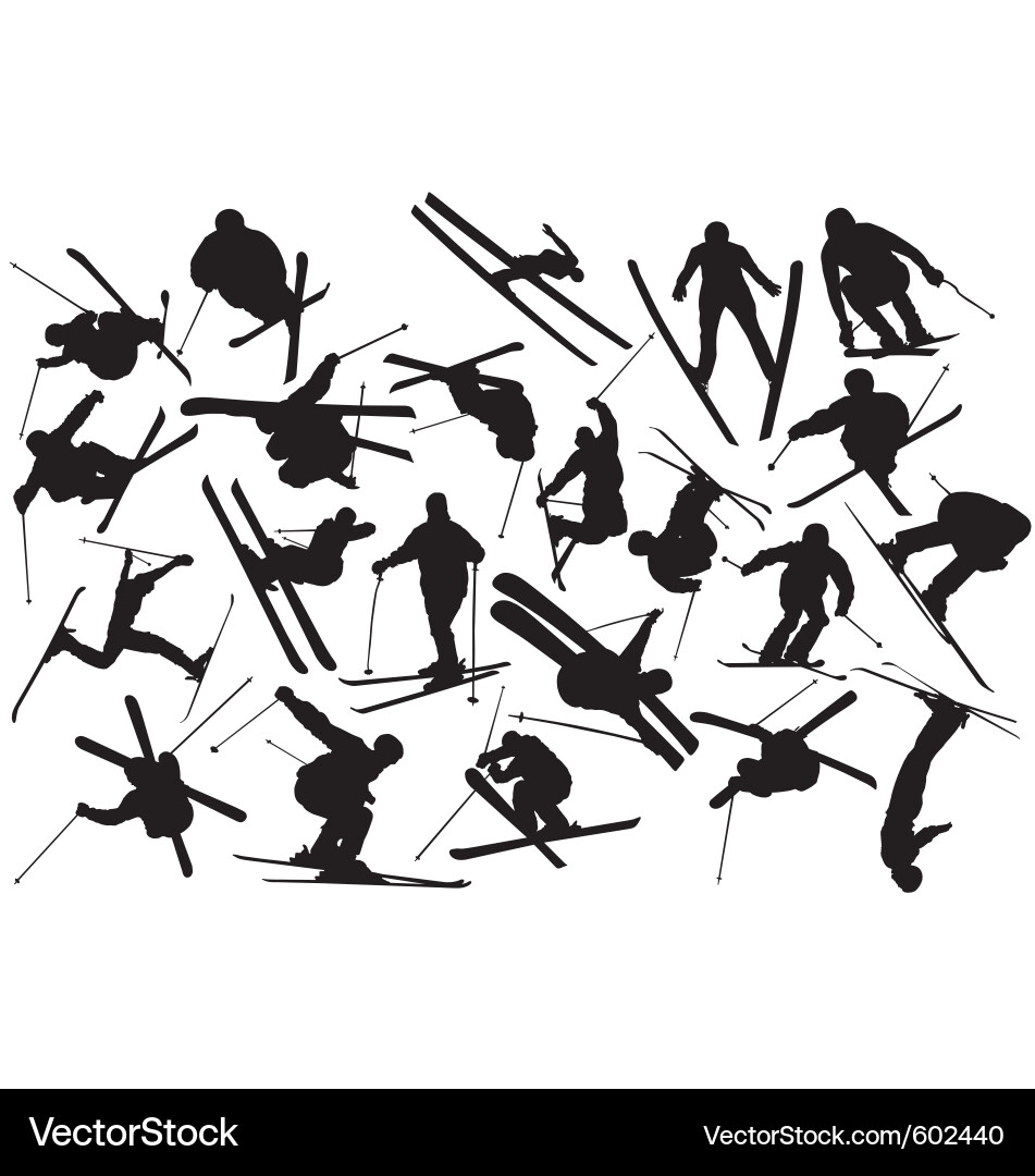 Skiing Silhouette - Winter Sport vector image