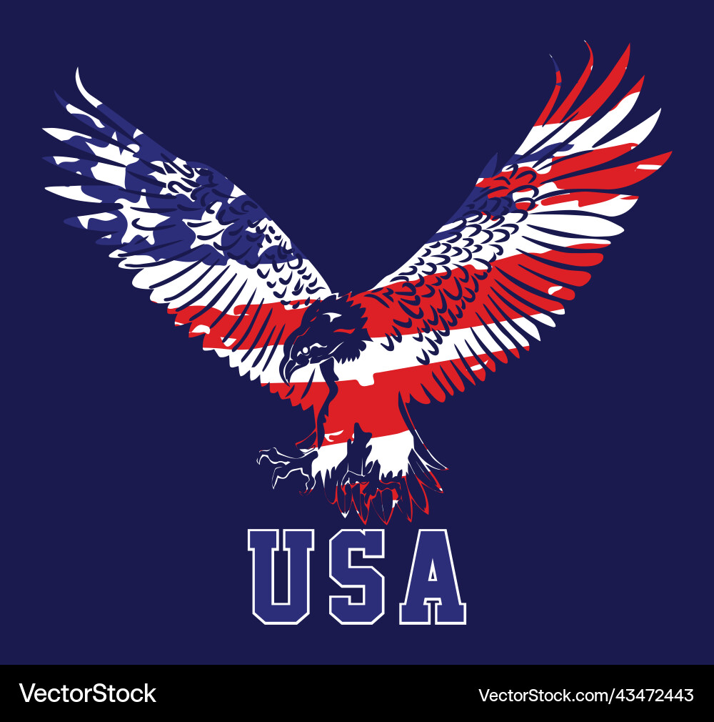 American Eagle with Flag vector image