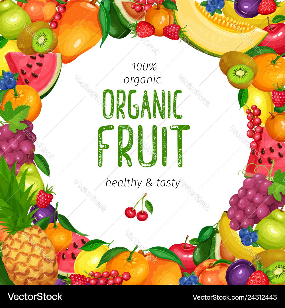 Berries and fruits design Berries and fruits design vector image