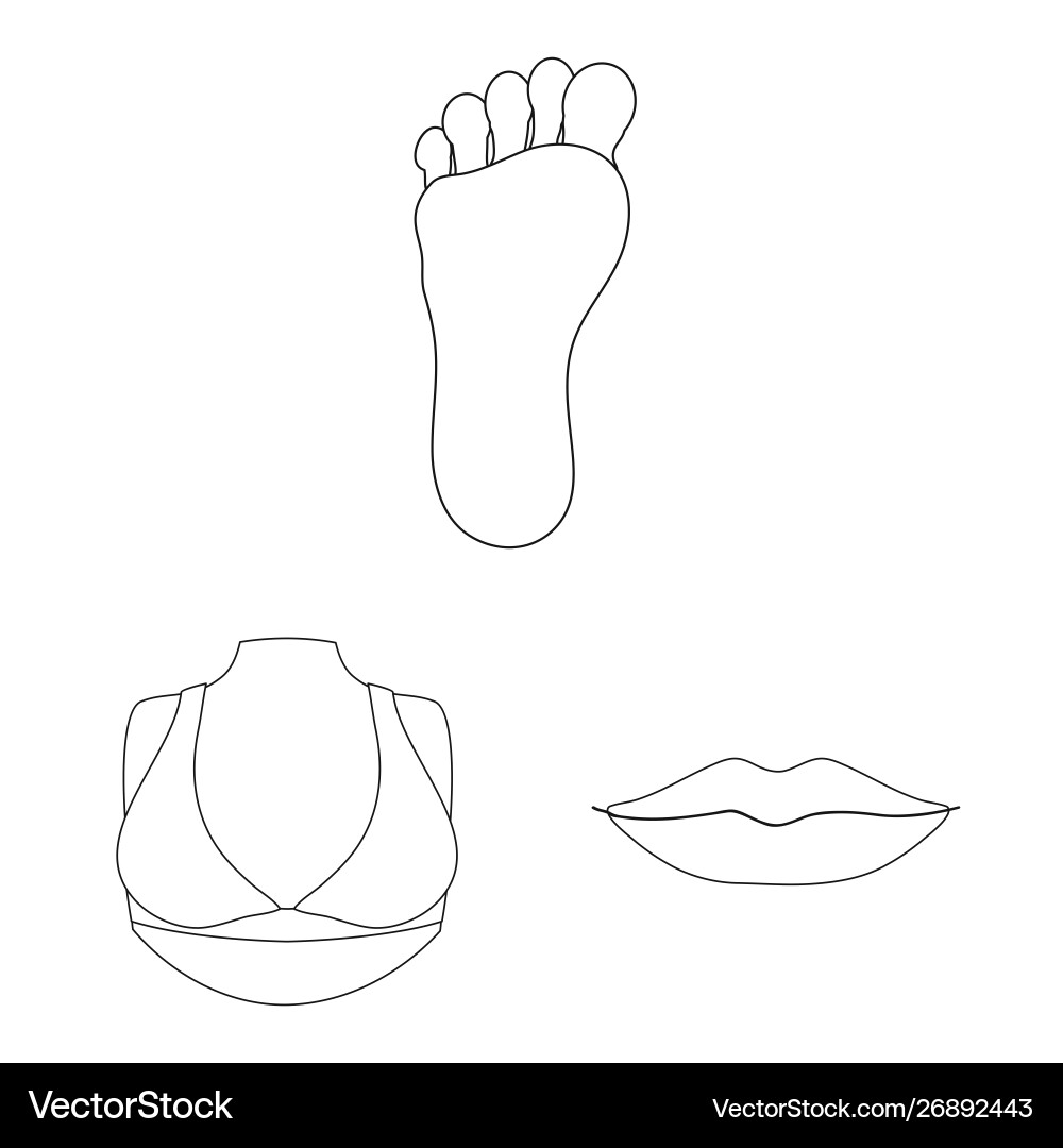 Isolated object body and part icon set Isolated object body and part icon set vector image