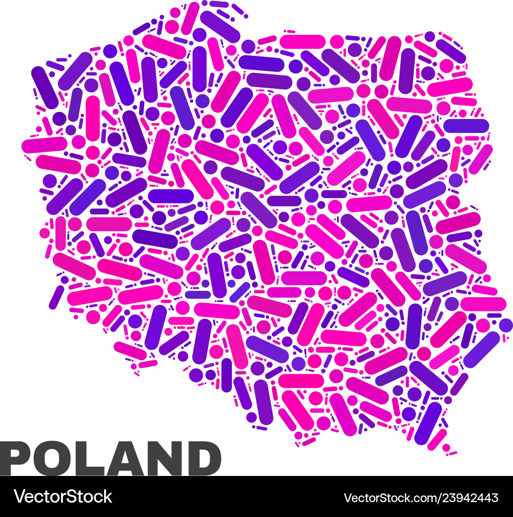 Mosaic poland map of dots and lines Mosaic poland map of dots and lines vector image