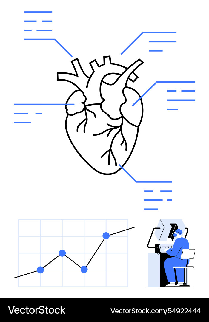 Human heart diagram with labeled sections data – Royalty-Free Vector ...
