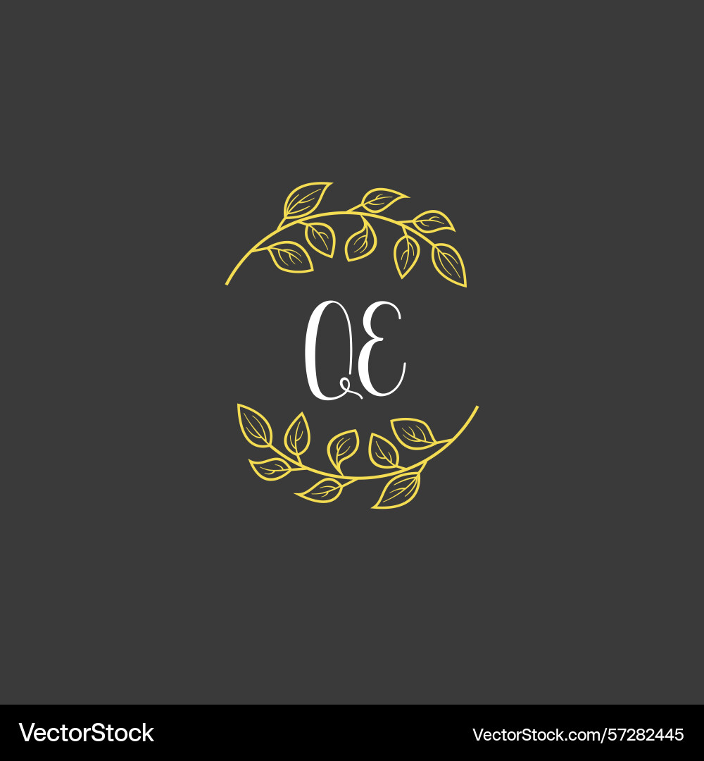 Botanical monogram logos with initial qe Vector Image