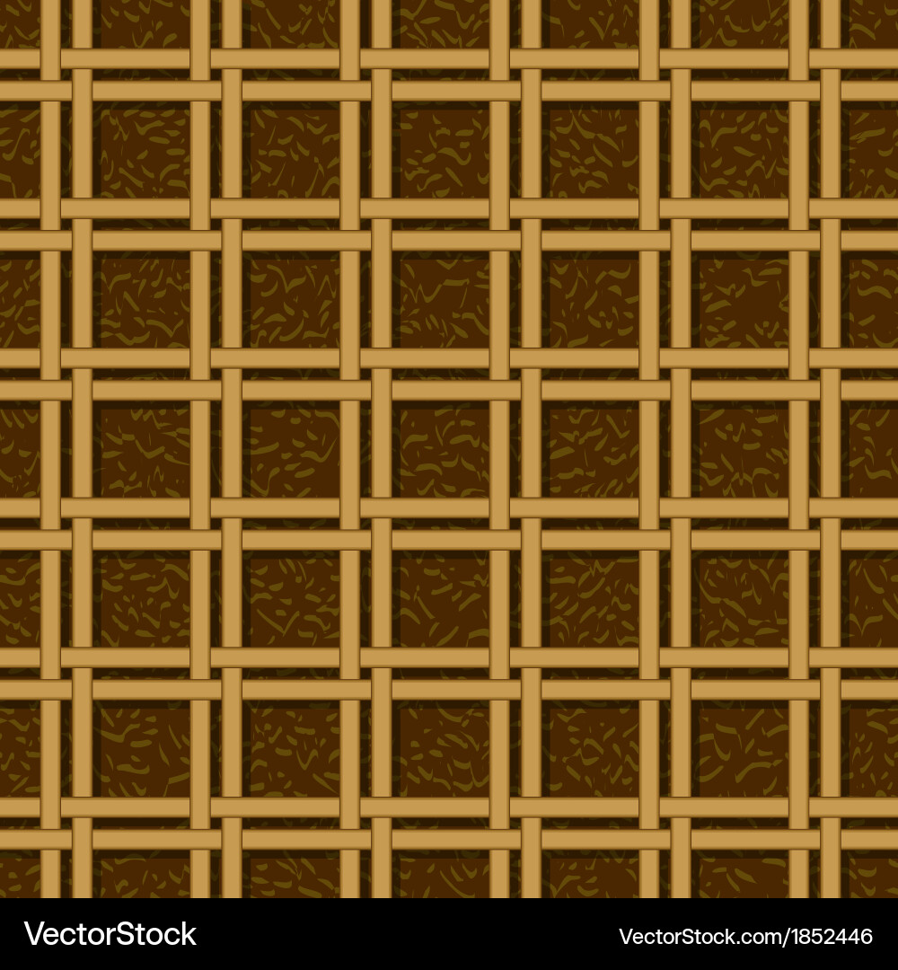 Wicker Cane Pattern Seamless Texture vector image