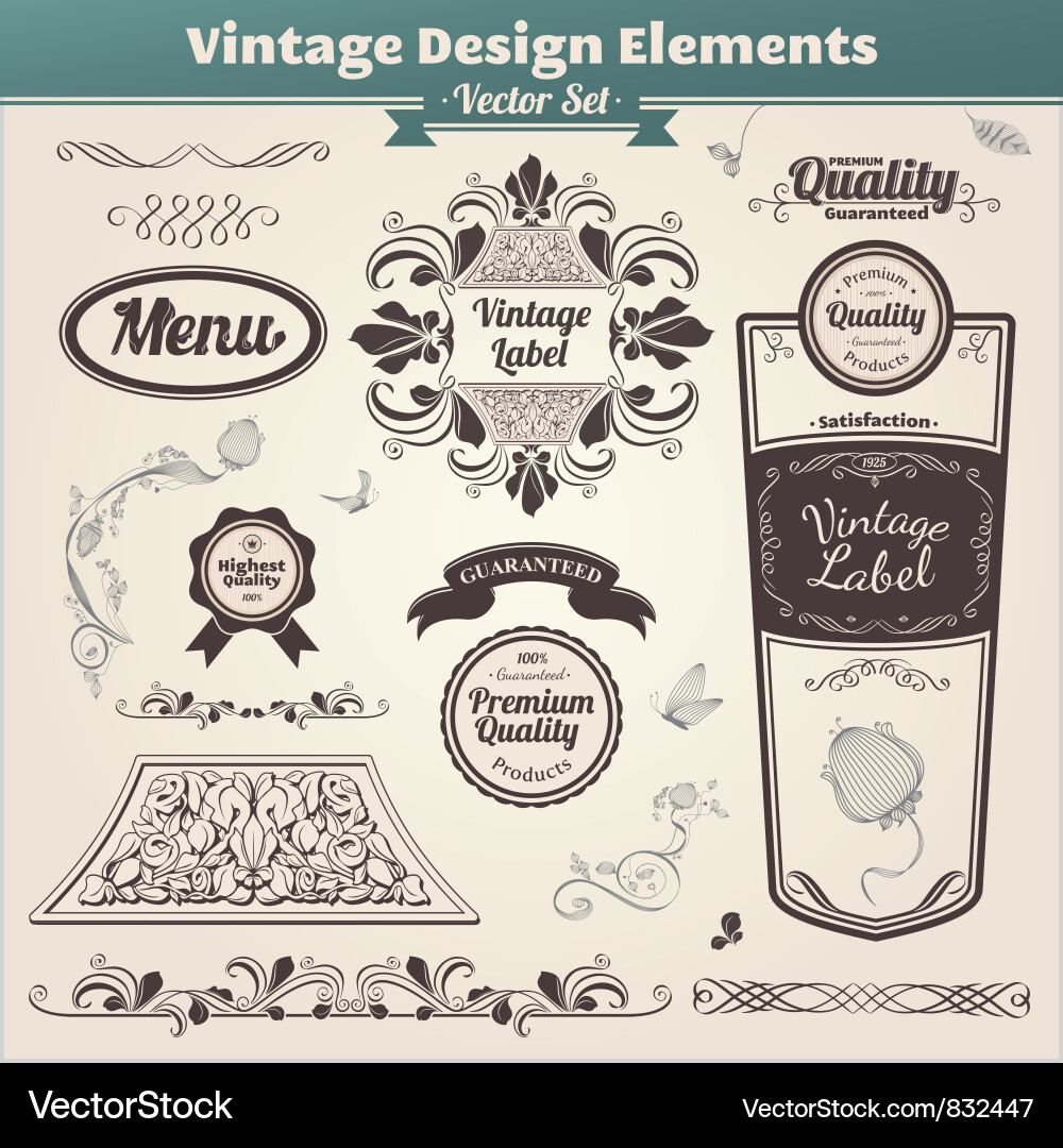 Vintage Floral Calligraphy vector image