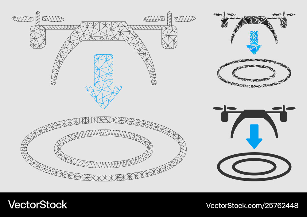 Copter arrival mesh network model Copter arrival mesh network model vector image