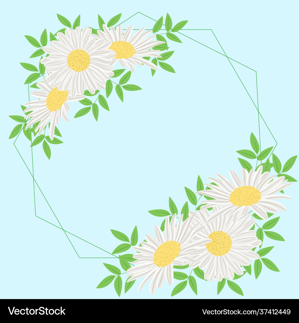 Circular frame with camomiles template for design Vector Image