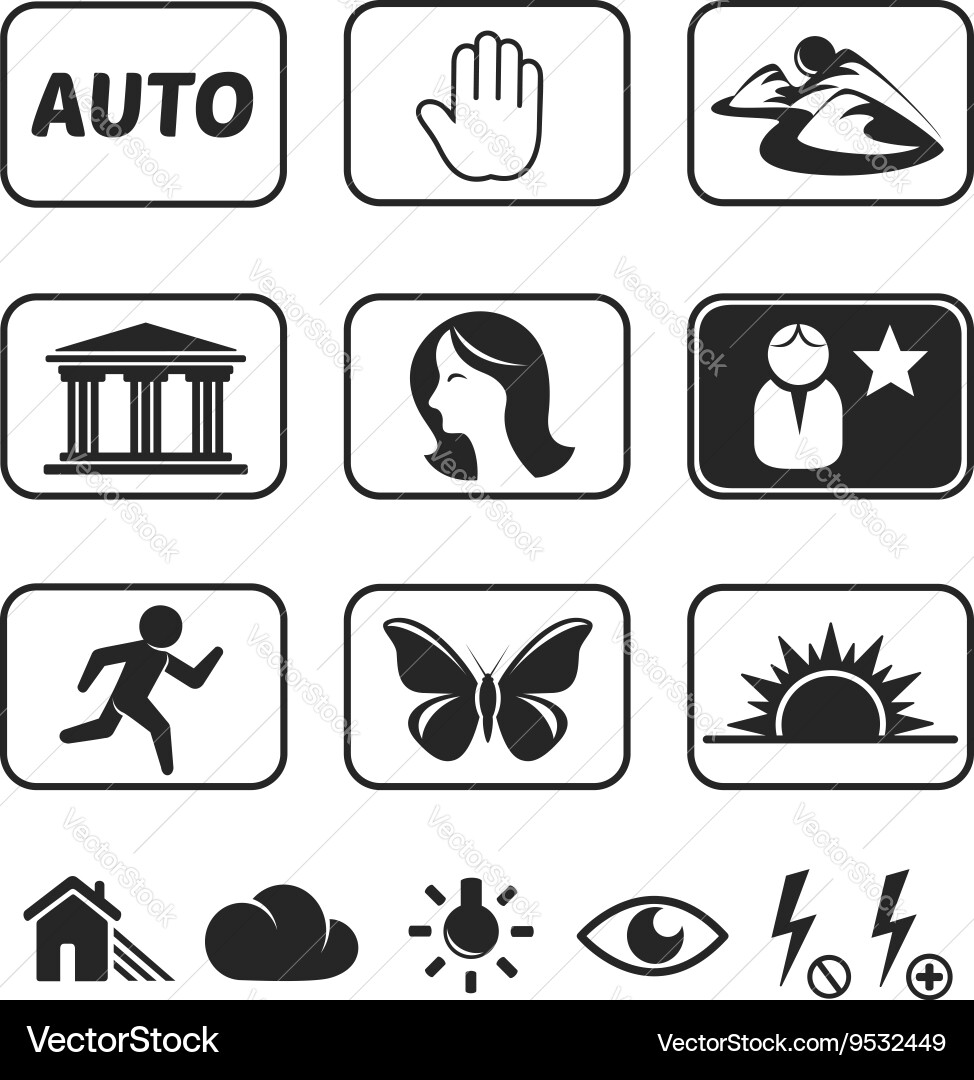 Digital camera modes icons set vector image
