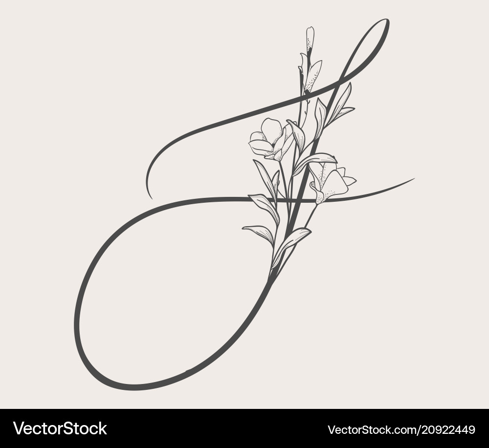 Hand drawn flowered s monogram and logo Hand drawn flowered s monogram and logo vector image