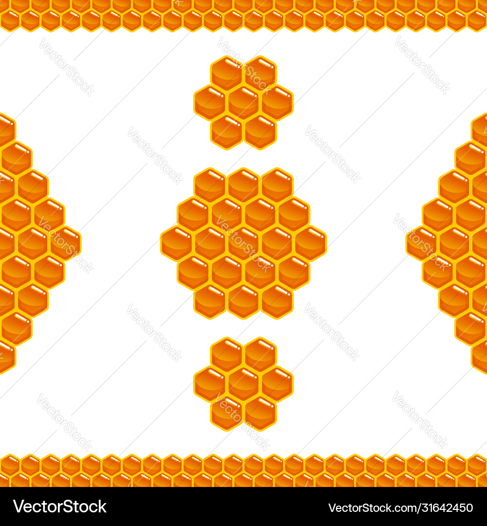 Beehive header and border vector image