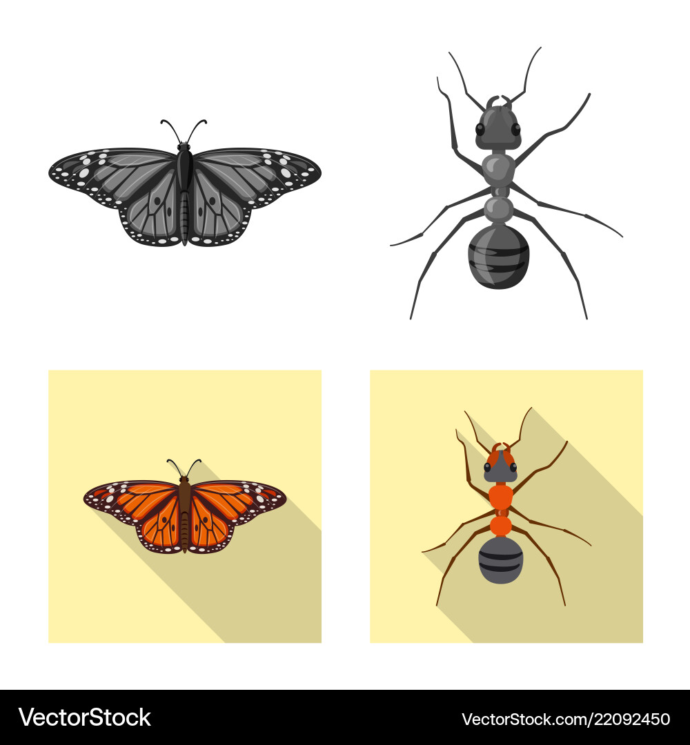 Isolated object of insect and fly symbol Vector Image