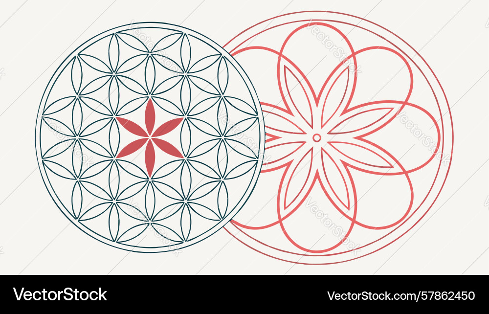 Minimalist overlapping circles for subtle vector image