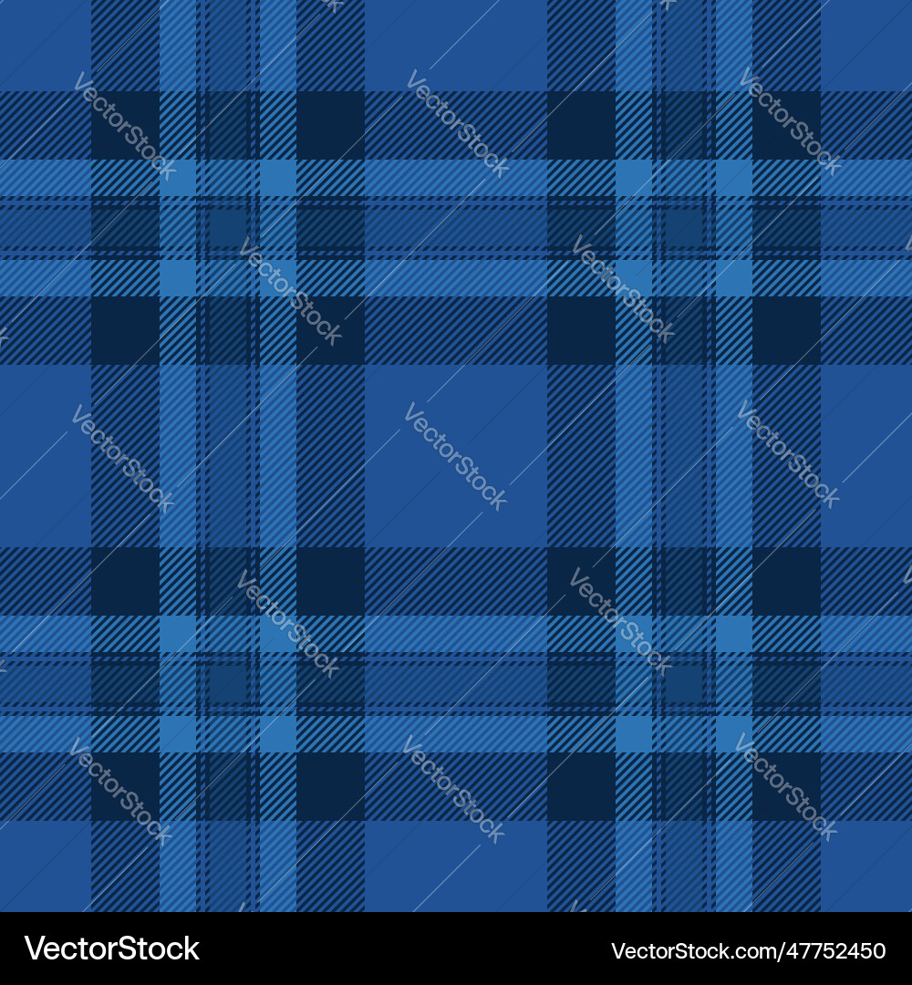 Plaid pattern of background check texture Vector Image