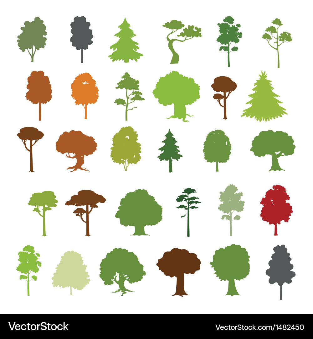 Thirty Forest Tree Collection Royalty Free Vector Image