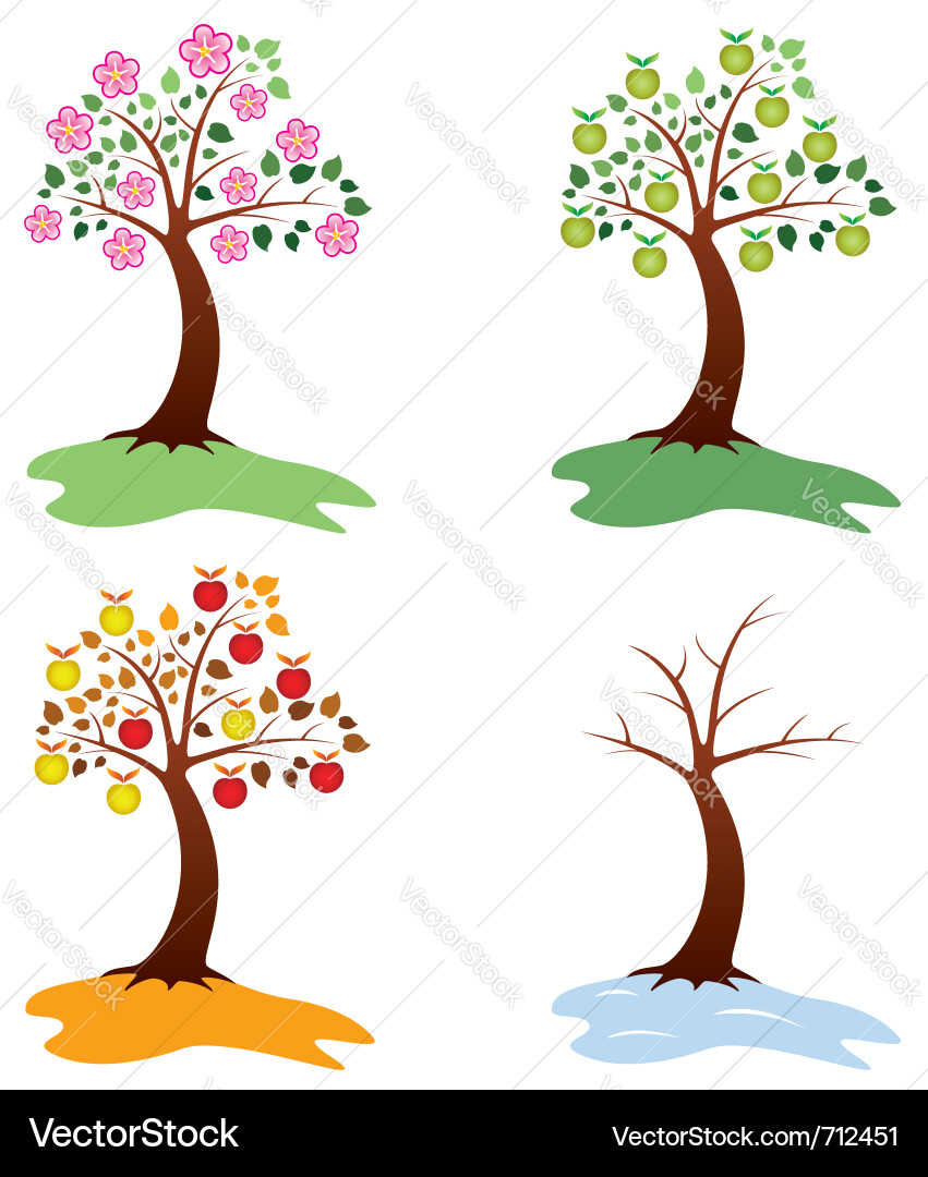 Apple Tree Collection Vector Image