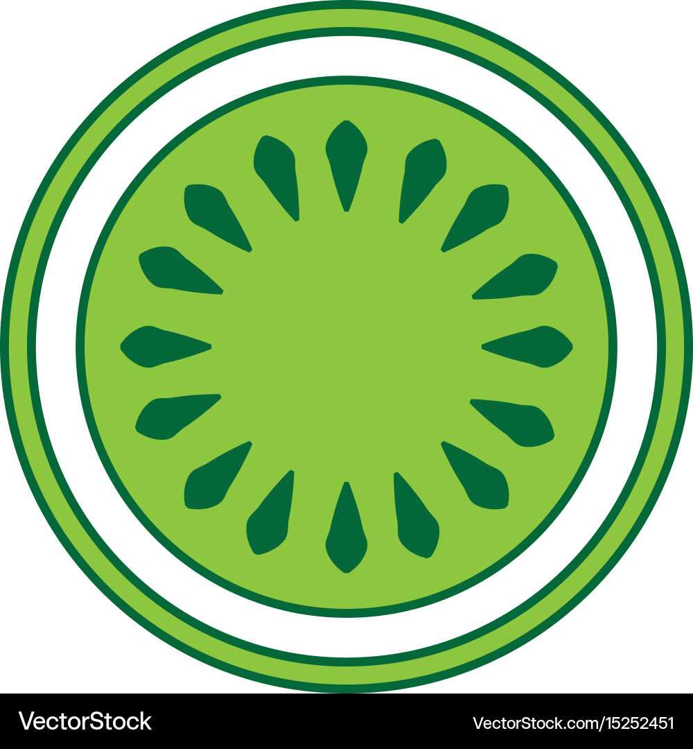 Cucumber slice isolated icon Vector Image