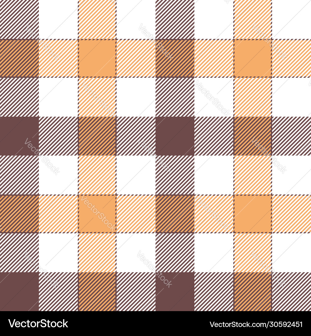 Gingham Check Pattern vector image