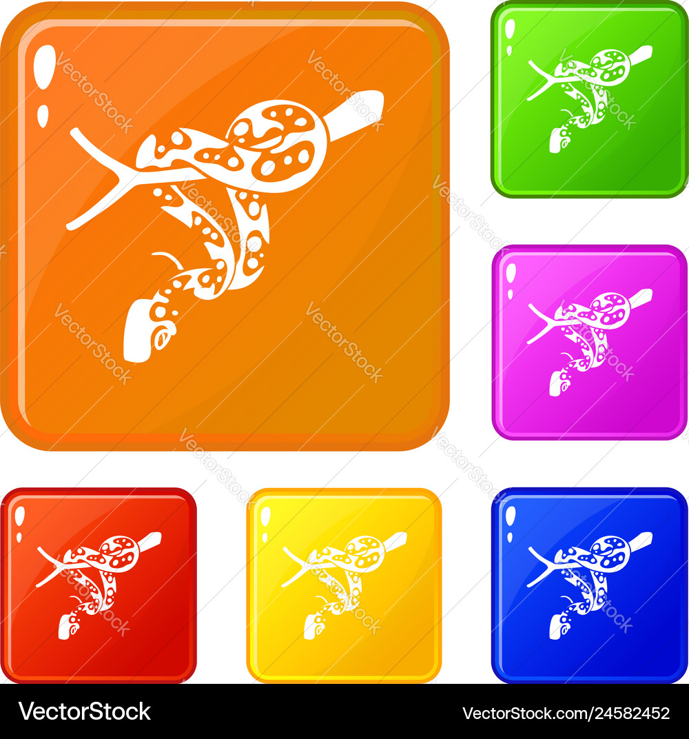 Ball python icons set color Ball python icons set color vector image