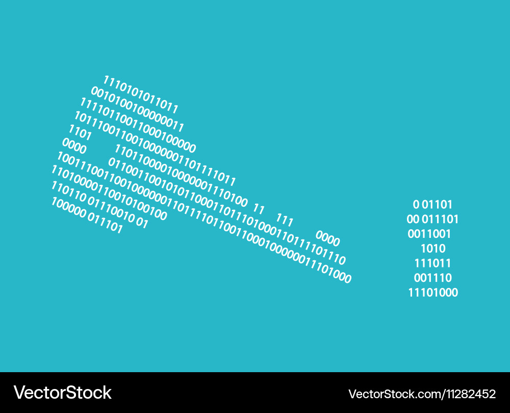 Key data security Vector Image