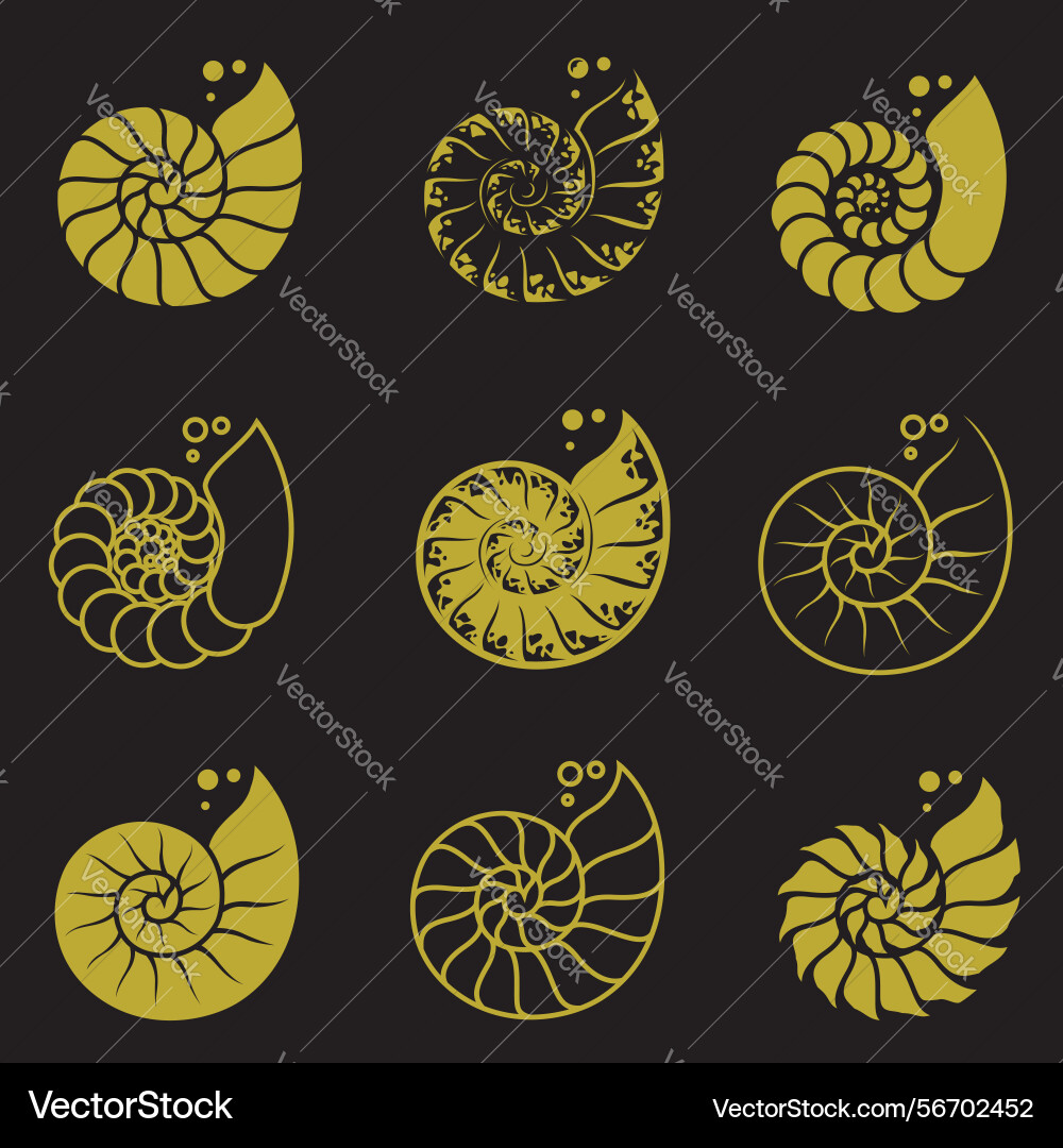 Nautilus shell labels set vector image