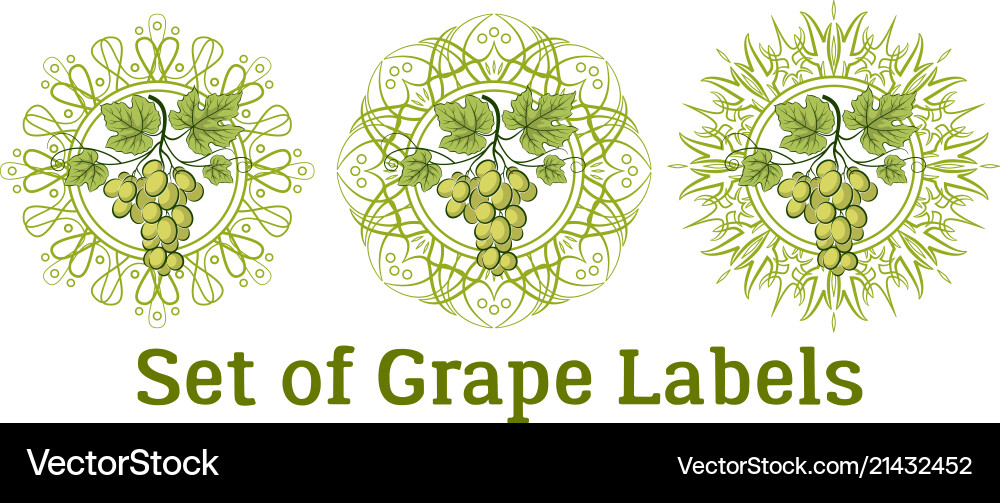 Set of grape labels Set of grape labels vector image