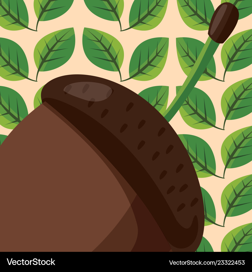 Acorn icon image Acorn icon image vector image
