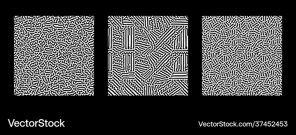 Collection turing abstract seamless pattern Collection turing abstract seamless pattern vector image