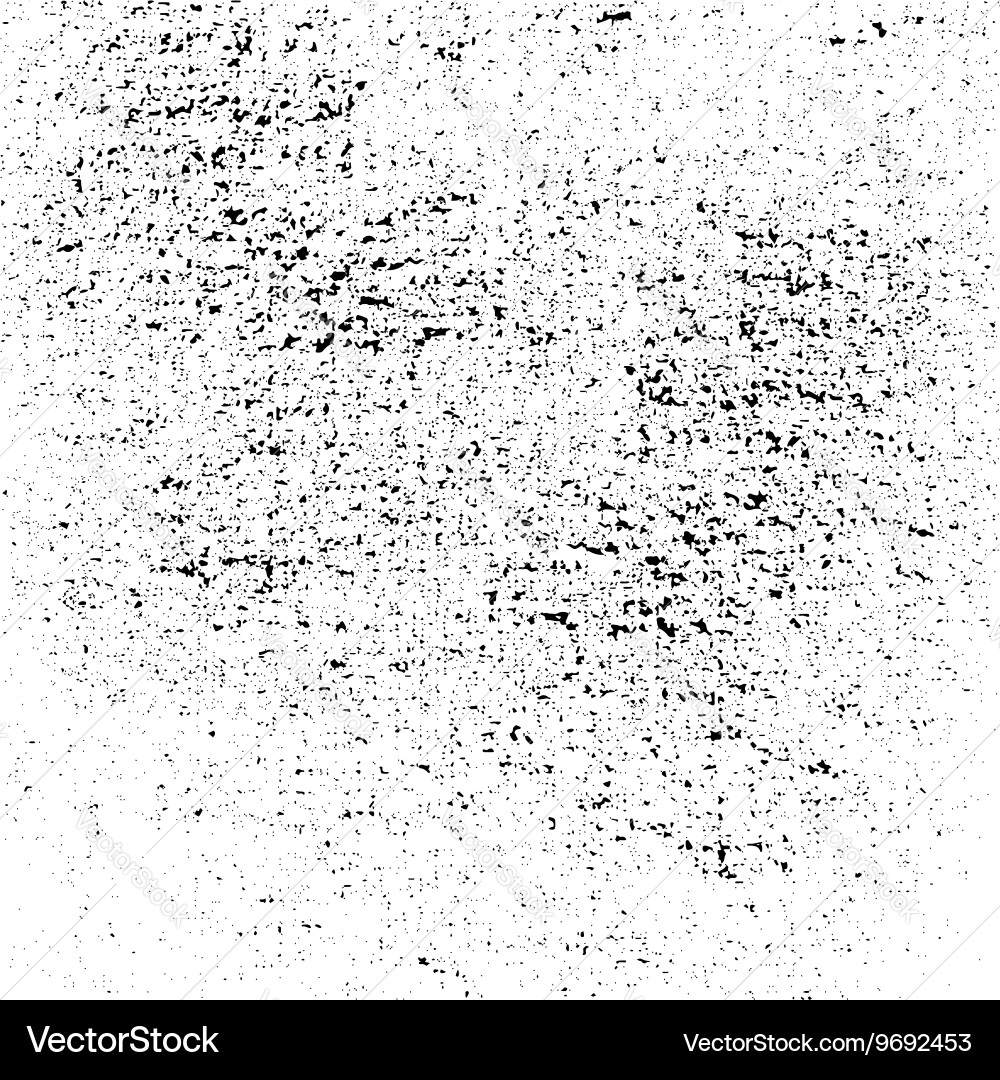 Grunge White & Black Dust Texture Vector Image