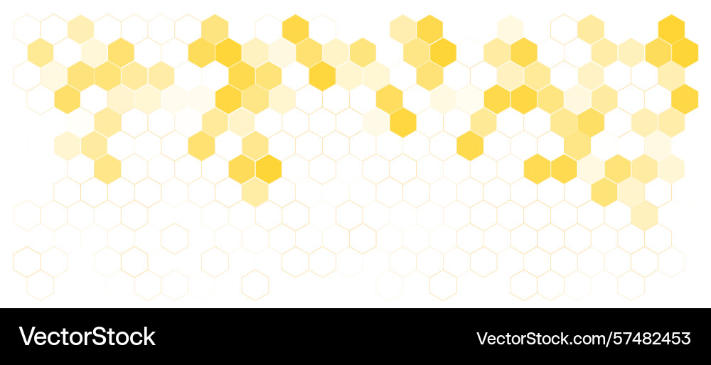 Hexagon pattern background abstract vector image