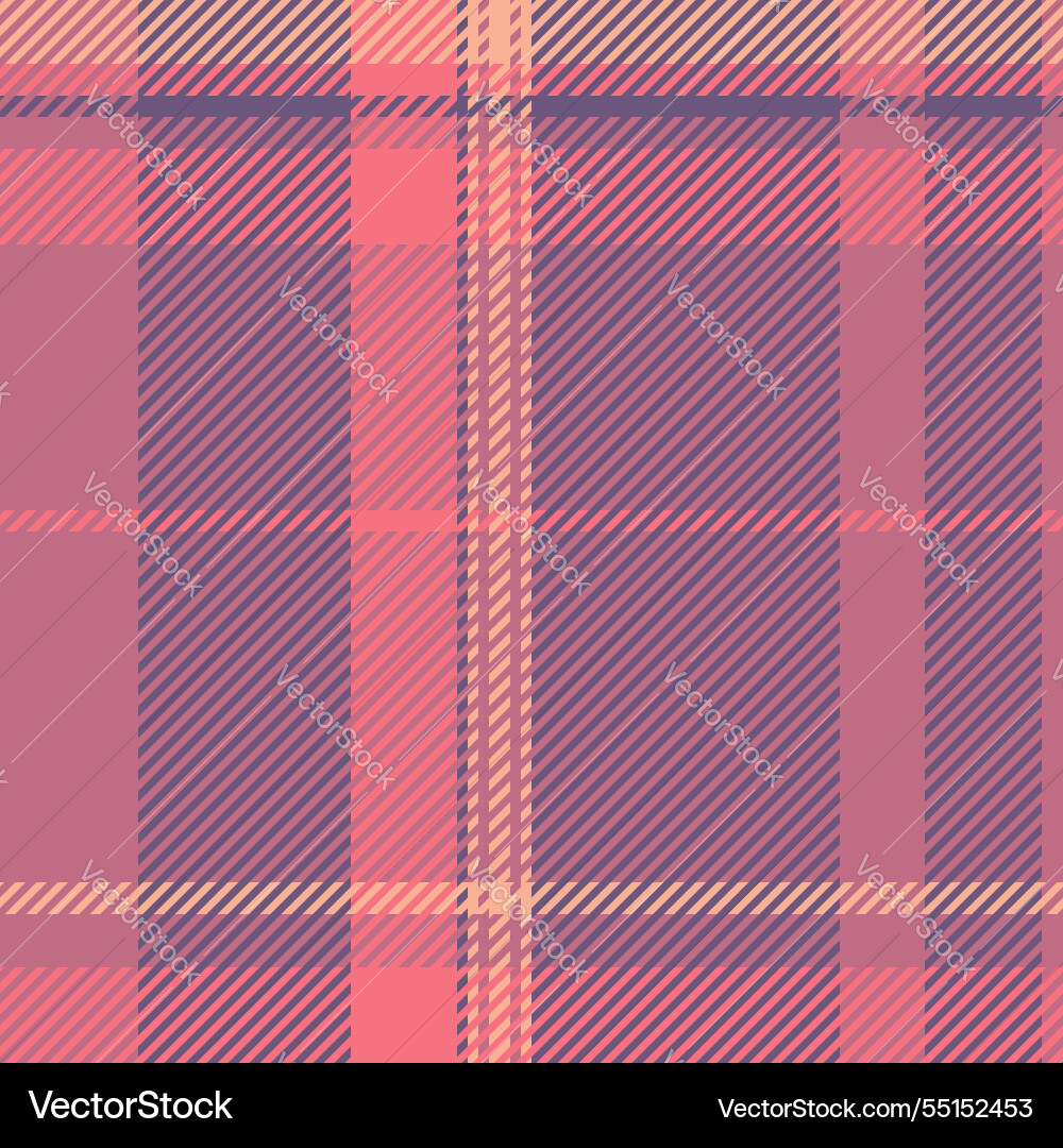 Modern fabric check unique pattern texture Vector Image