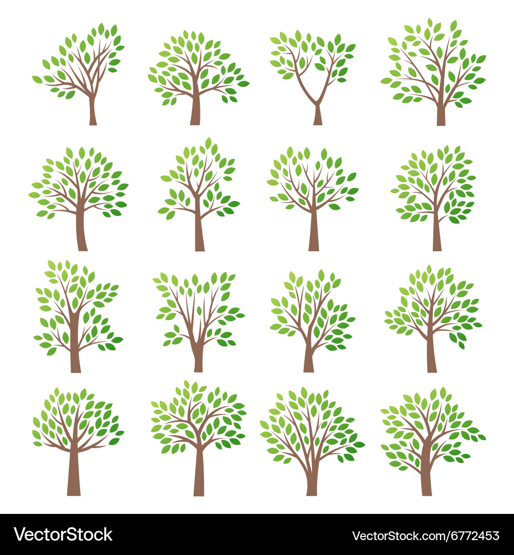Tree Icon Set - Botanical Collection vector image