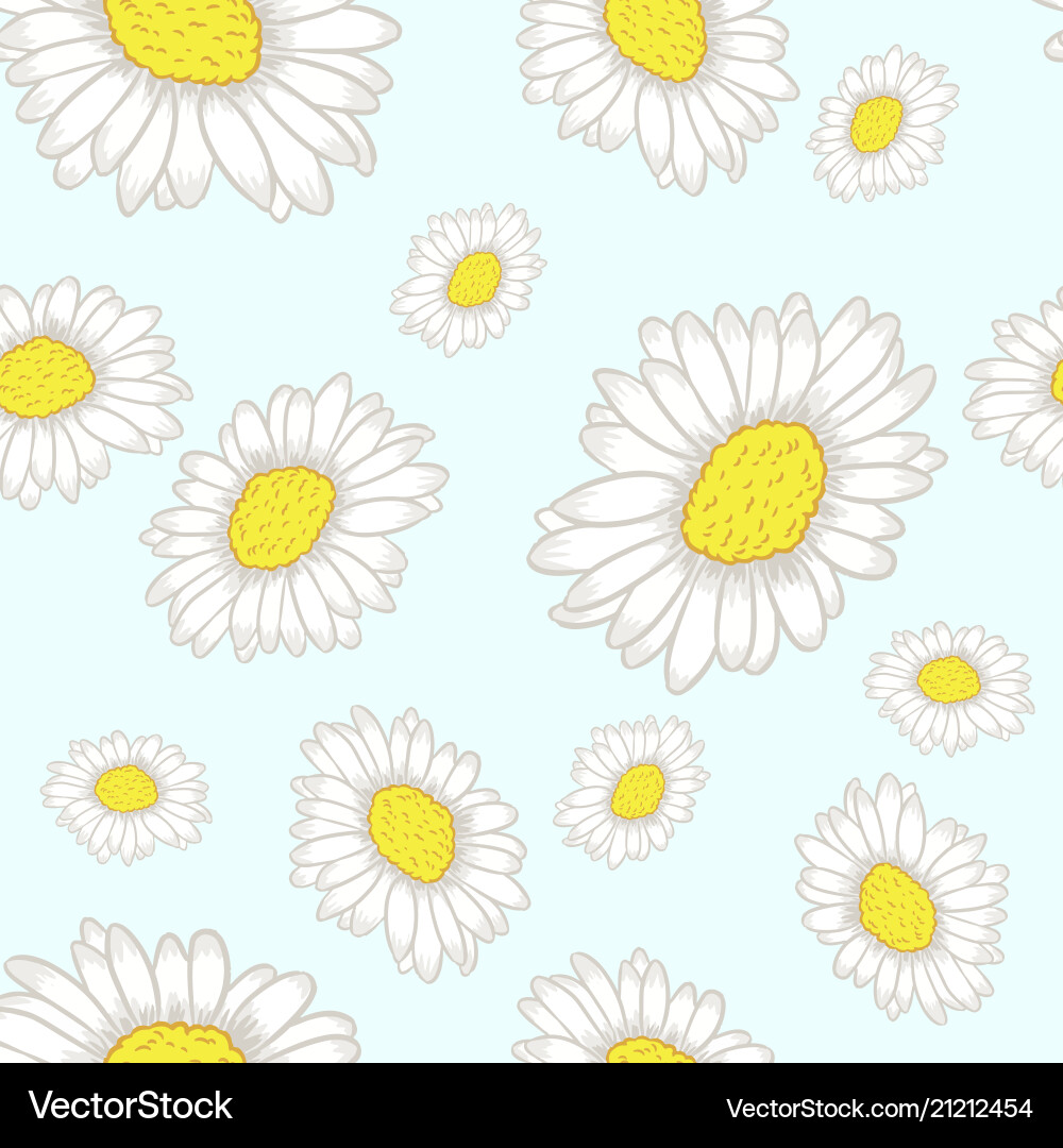 Chamomile seamless pattern Vector Image