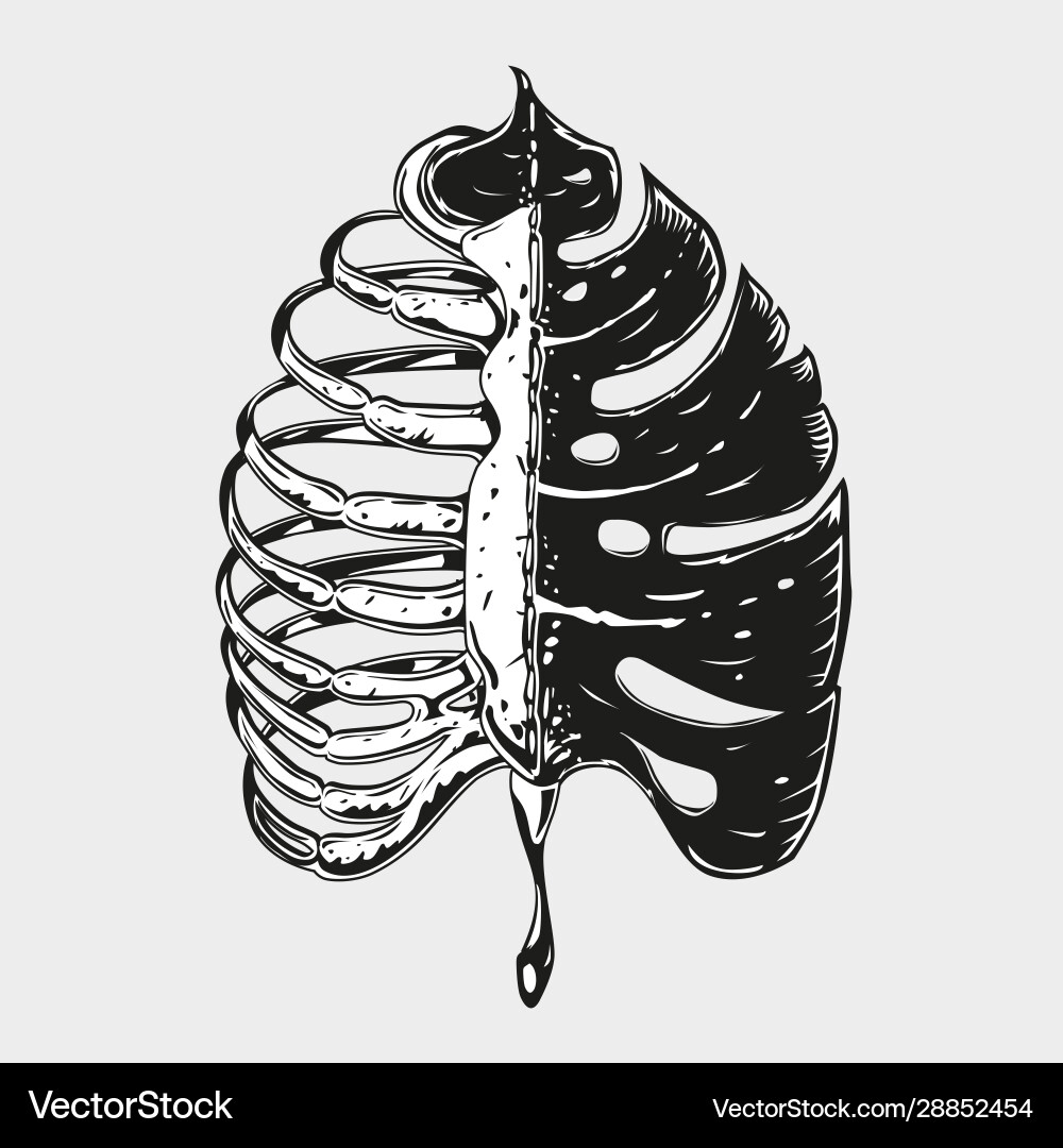 Monstera leaf with rib cage vintage apparel print Vector Image