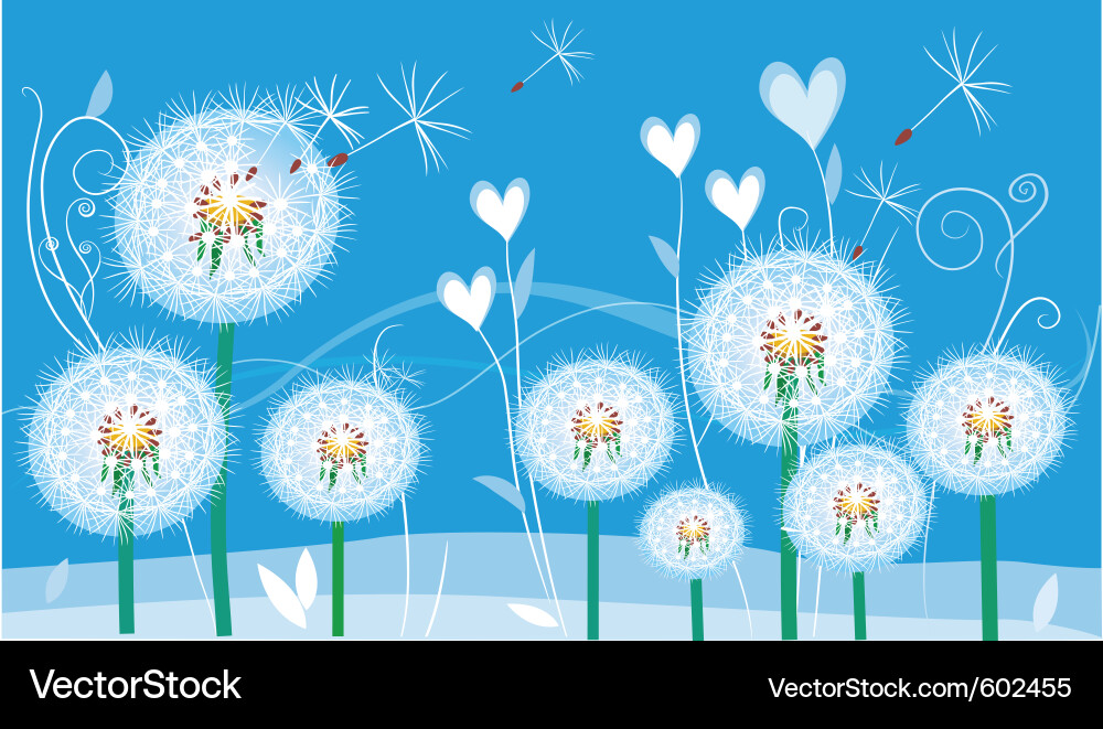 Abstract floral card with dandelions Vector Image