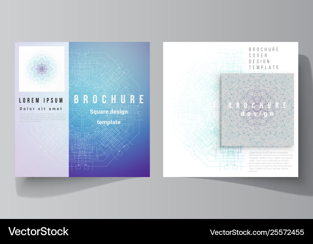 Minimal layout two square Minimal layout two square Vector Image