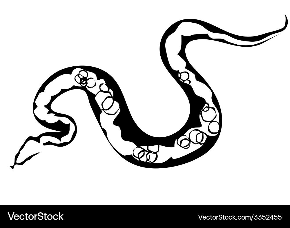 Python Silhouette - Reptile Abstract vector image