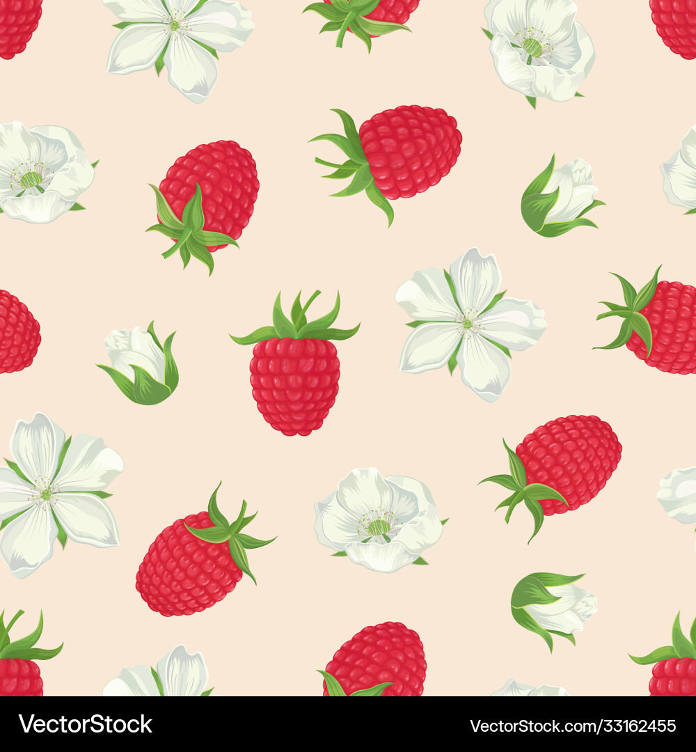 Raspberry seamless pattern-01 Raspberry seamless pattern-01 vector image