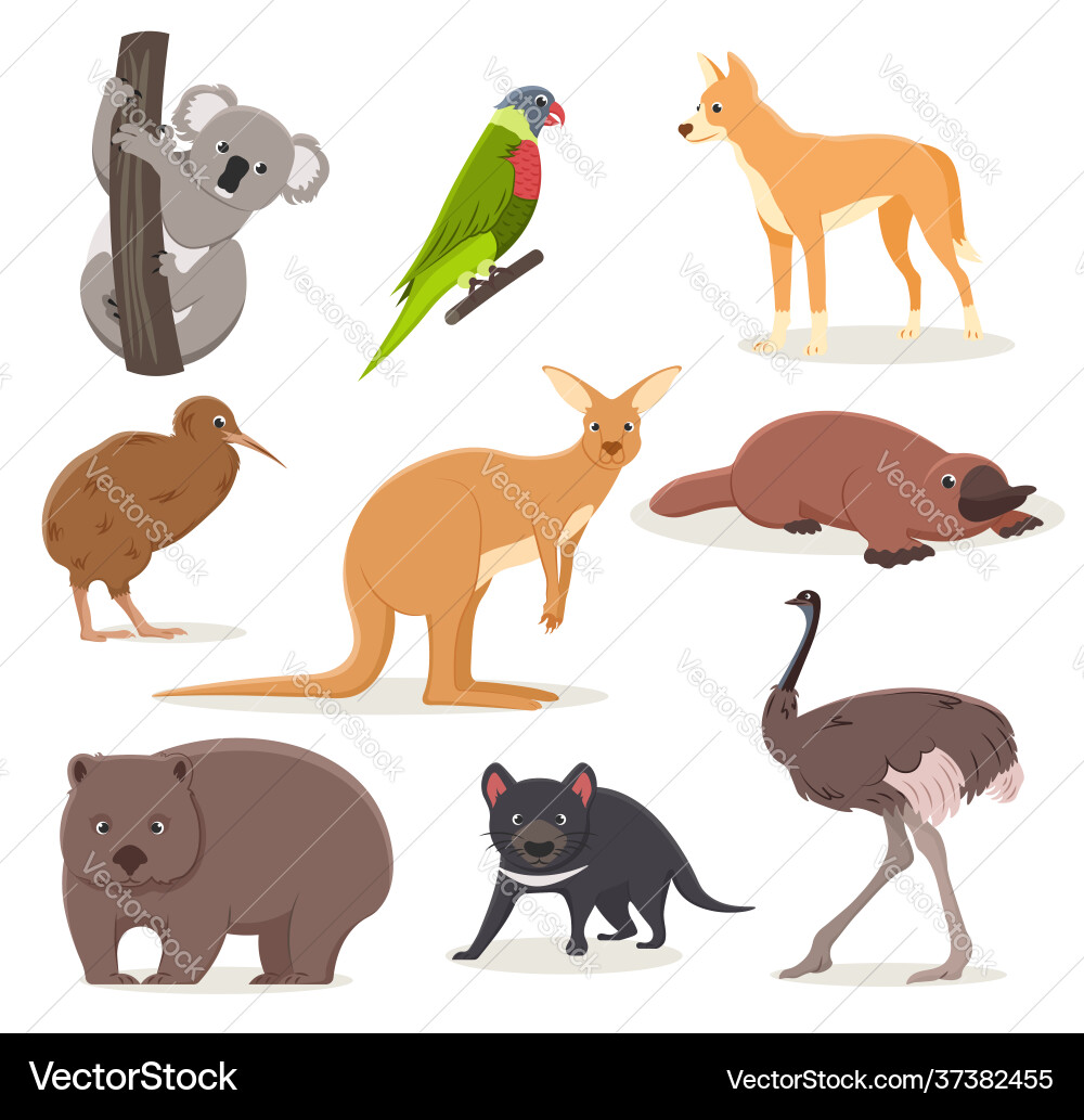 Set funny cartoon australian animals - emu