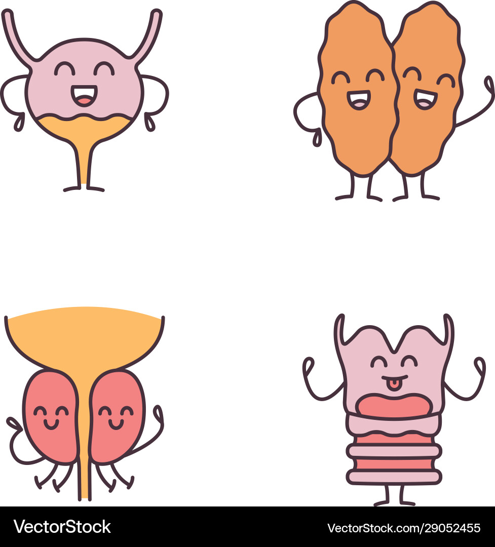 Smiling human internal organs characters color Smiling human internal organs characters color vector image