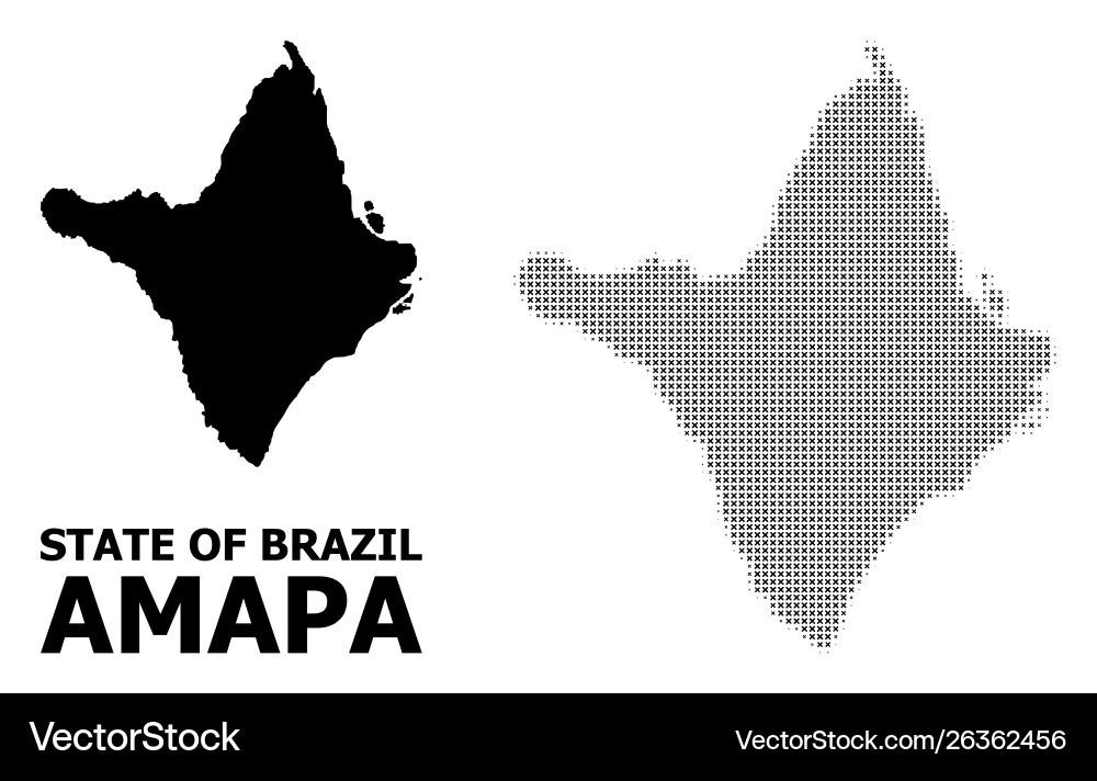 Halftone pattern and solid map amapa vector image
